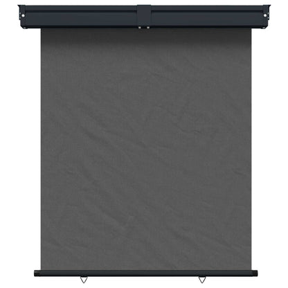 Balcony Side Awning 140 x 250 cm 100% polyester iron steel