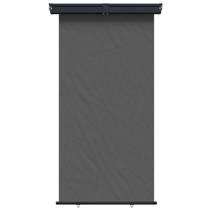 Balcony Side Awning 160 x 250 cm 100% polyester iron steel