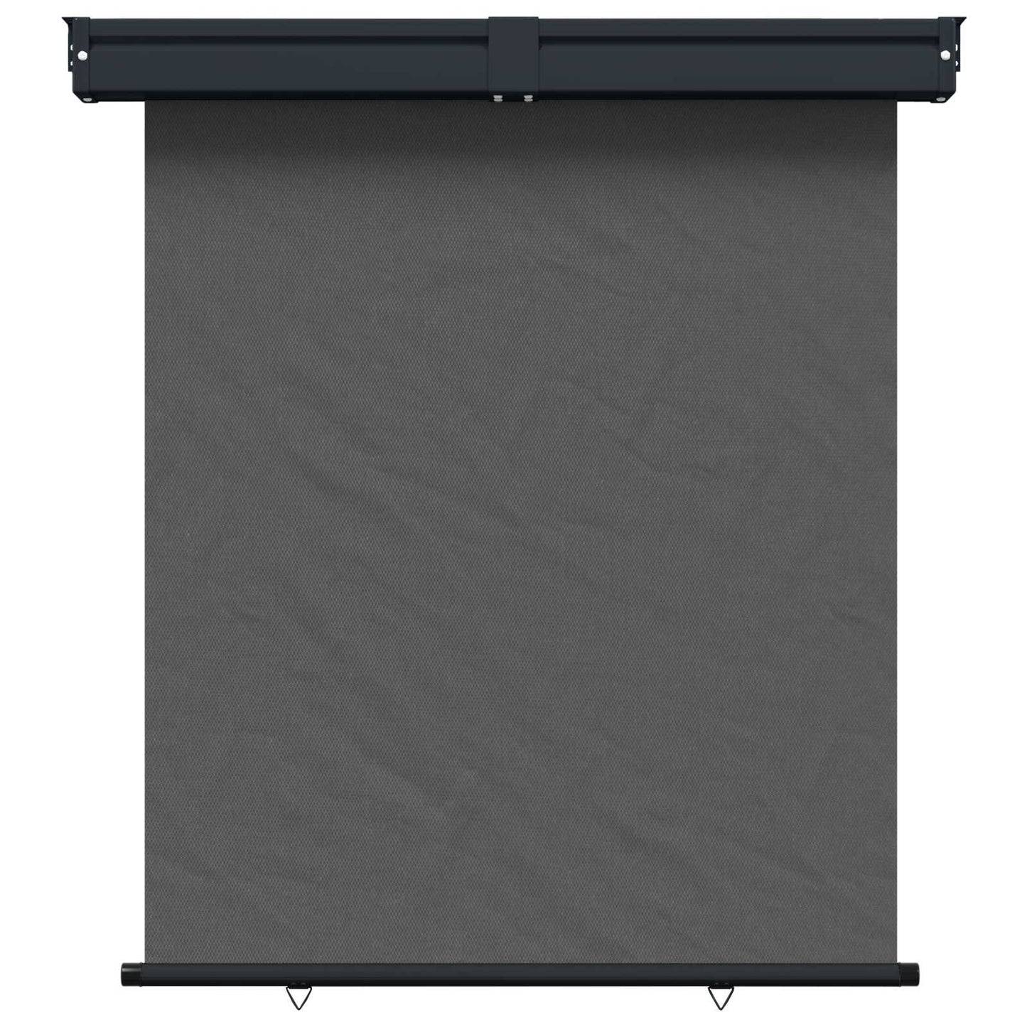 Balcony Side Awning 160 x 250 cm 100% polyester iron steel