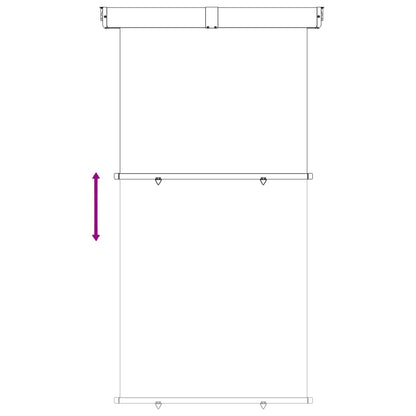 Balcony Side Awning 160 x 250 cm 100% polyester iron steel
