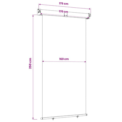 Balcony Side Awning 170 x 250 cm 100% polyester iron steel