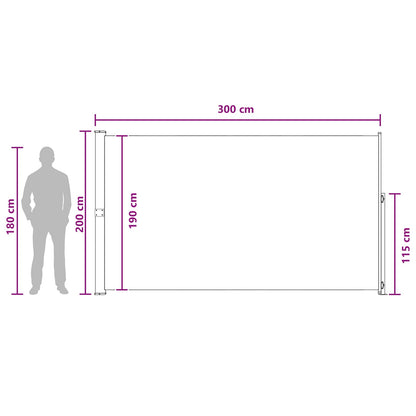 Retractable Side Awning 200 x 300 cm 100% polyester iron steel