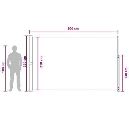 Retractable Side Awning 220 x 300 cm Polyester Rectangular