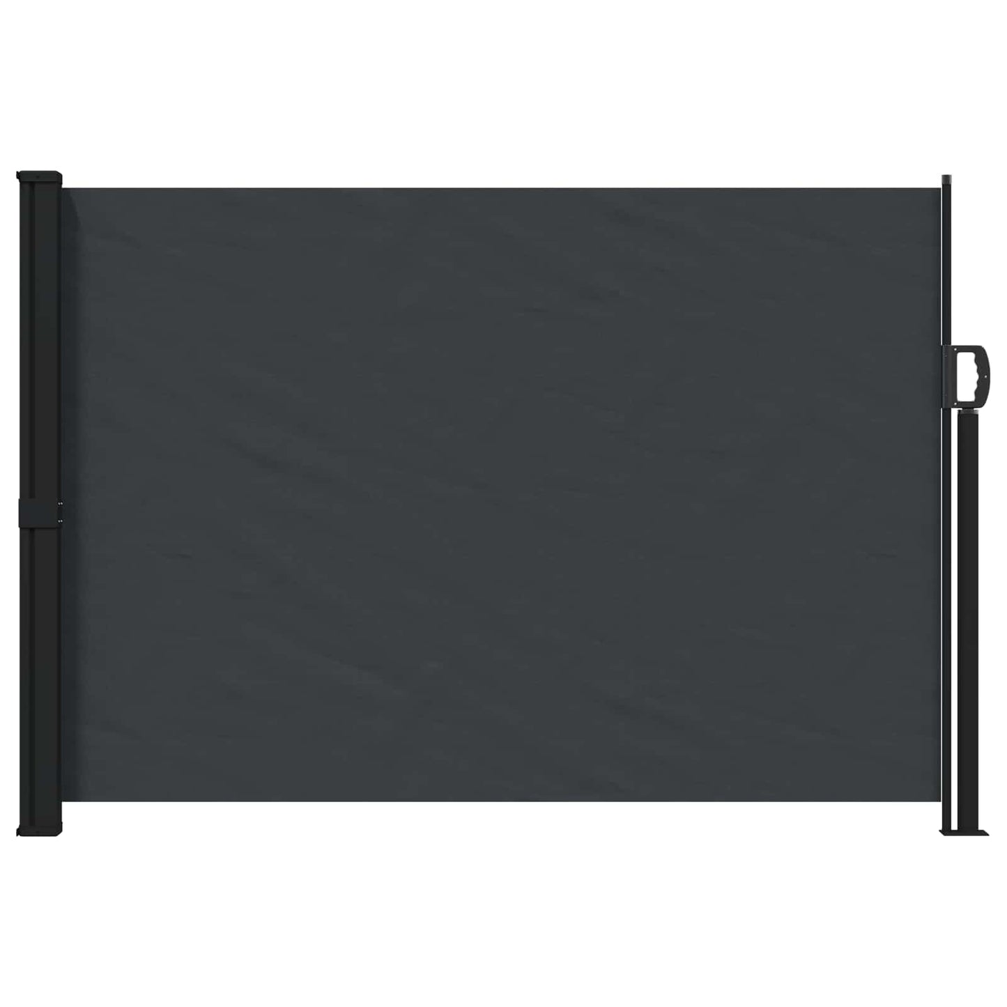 Retractable Side Awning Black 300 x 170 cm Polyester
