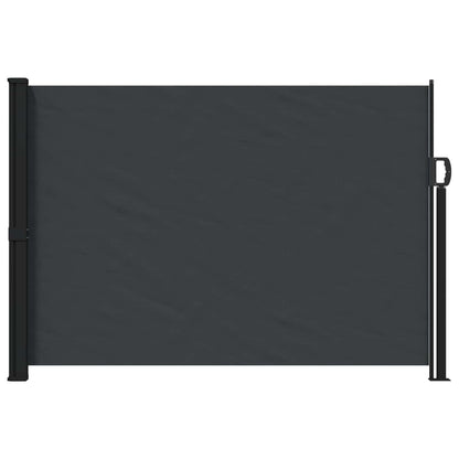 Retractable Side Awning Black 300 x 170 cm Polyester