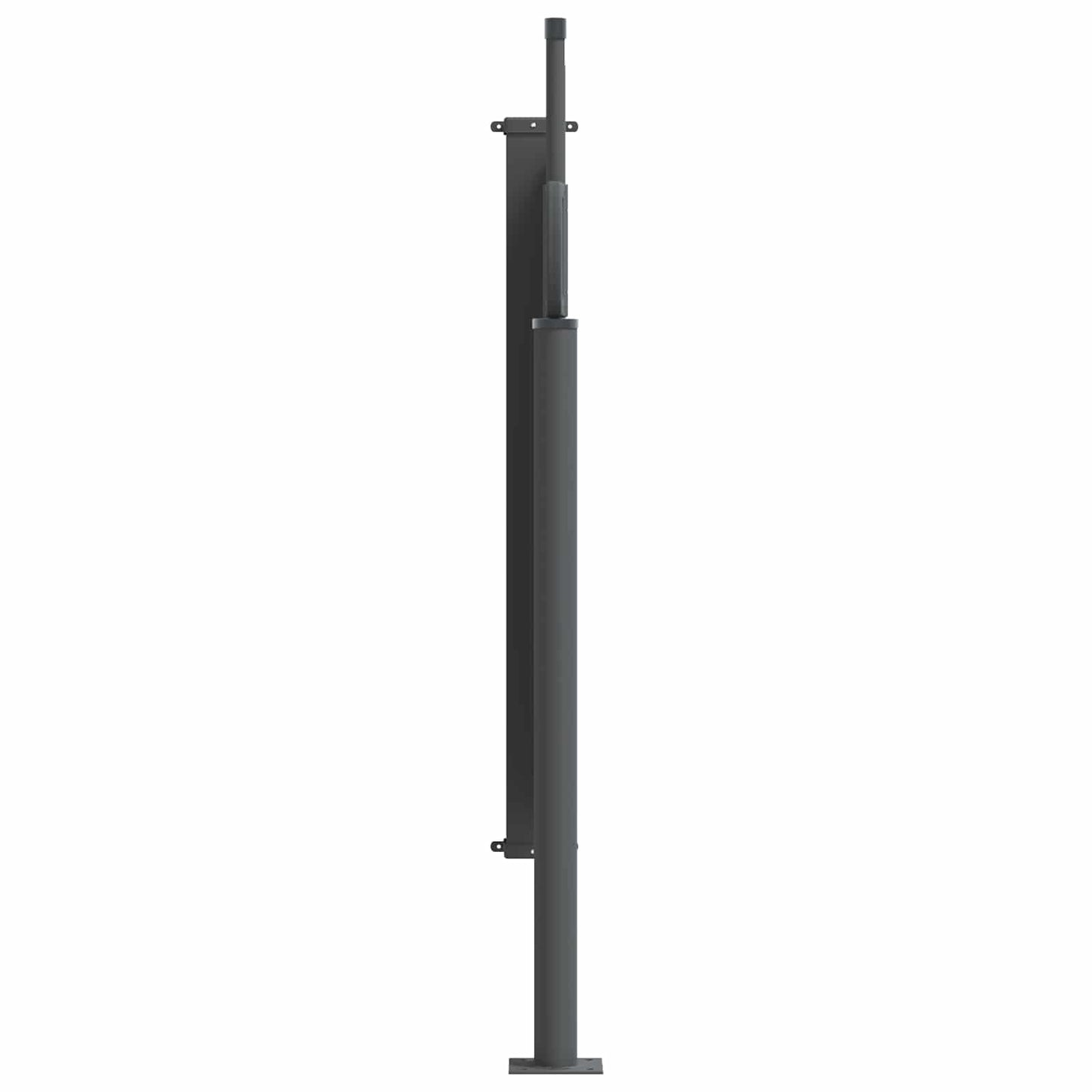 Retractable Side Awning Anthracite 300 x 100 cm Polyester