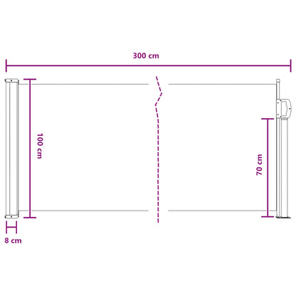 Retractable Side Awning 300 x 100 cm Polyester Rectangular Grey