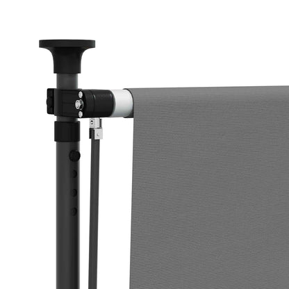 Outdoor Roller Blind Light Grey 100 x 270 cm