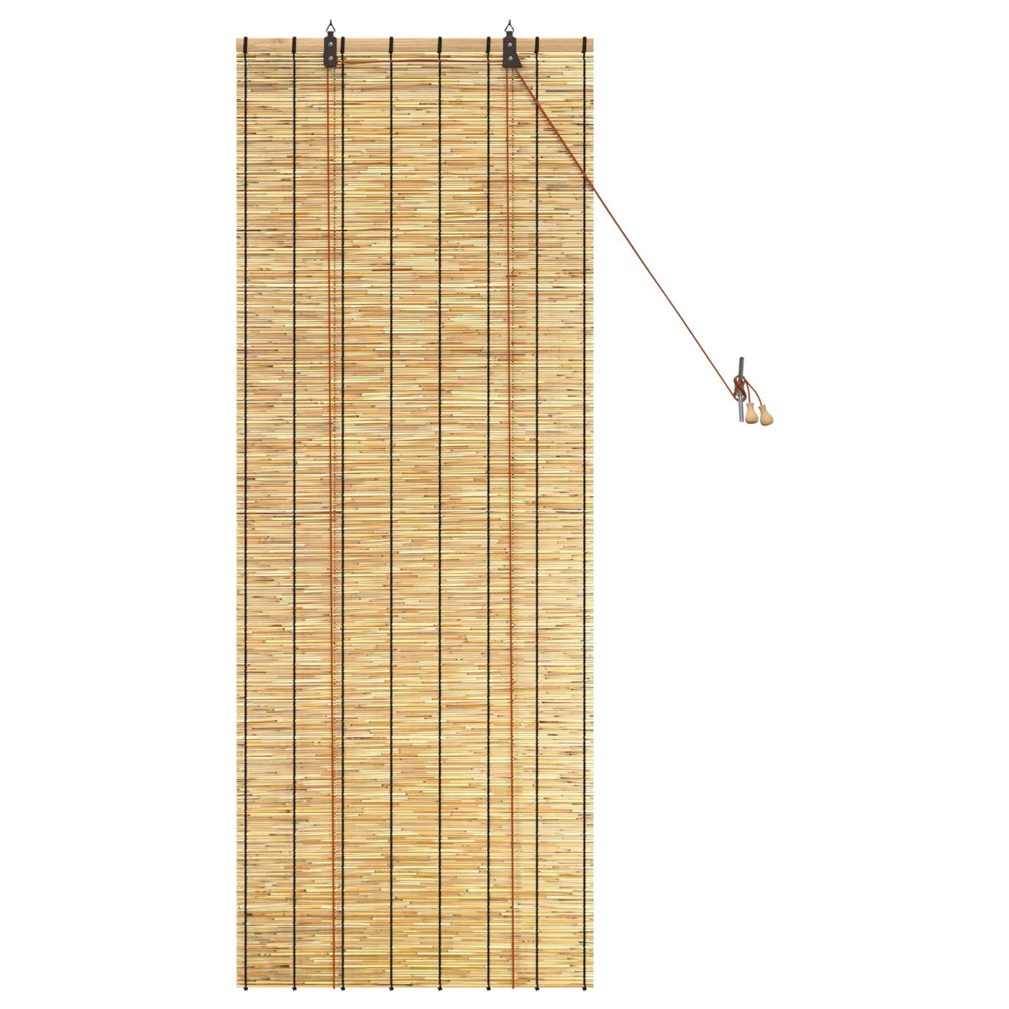 Roller Blind Natural 60 x 160 cm Reed