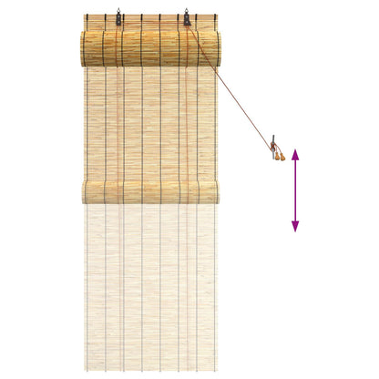 Roller Blind Natural 60 x 160 cm Reed