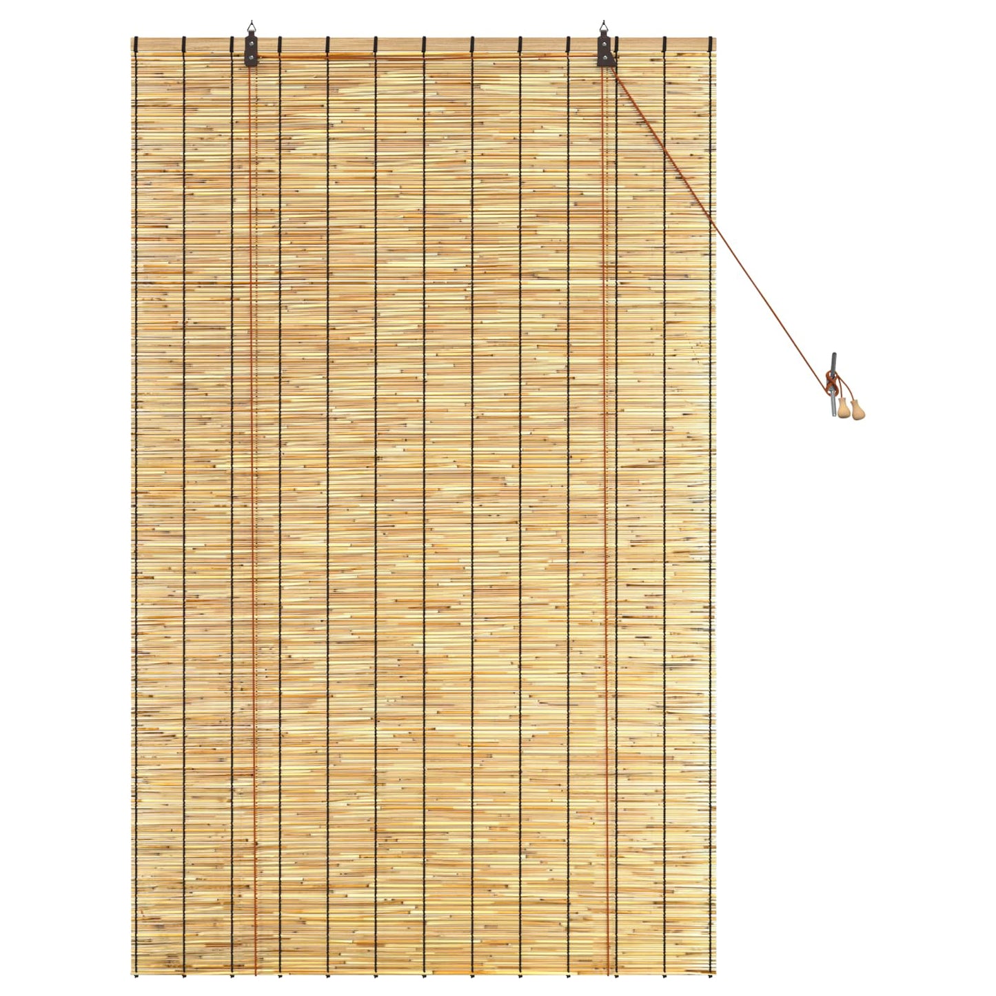 Roller Blind Natural 100 x 160 cm Reed