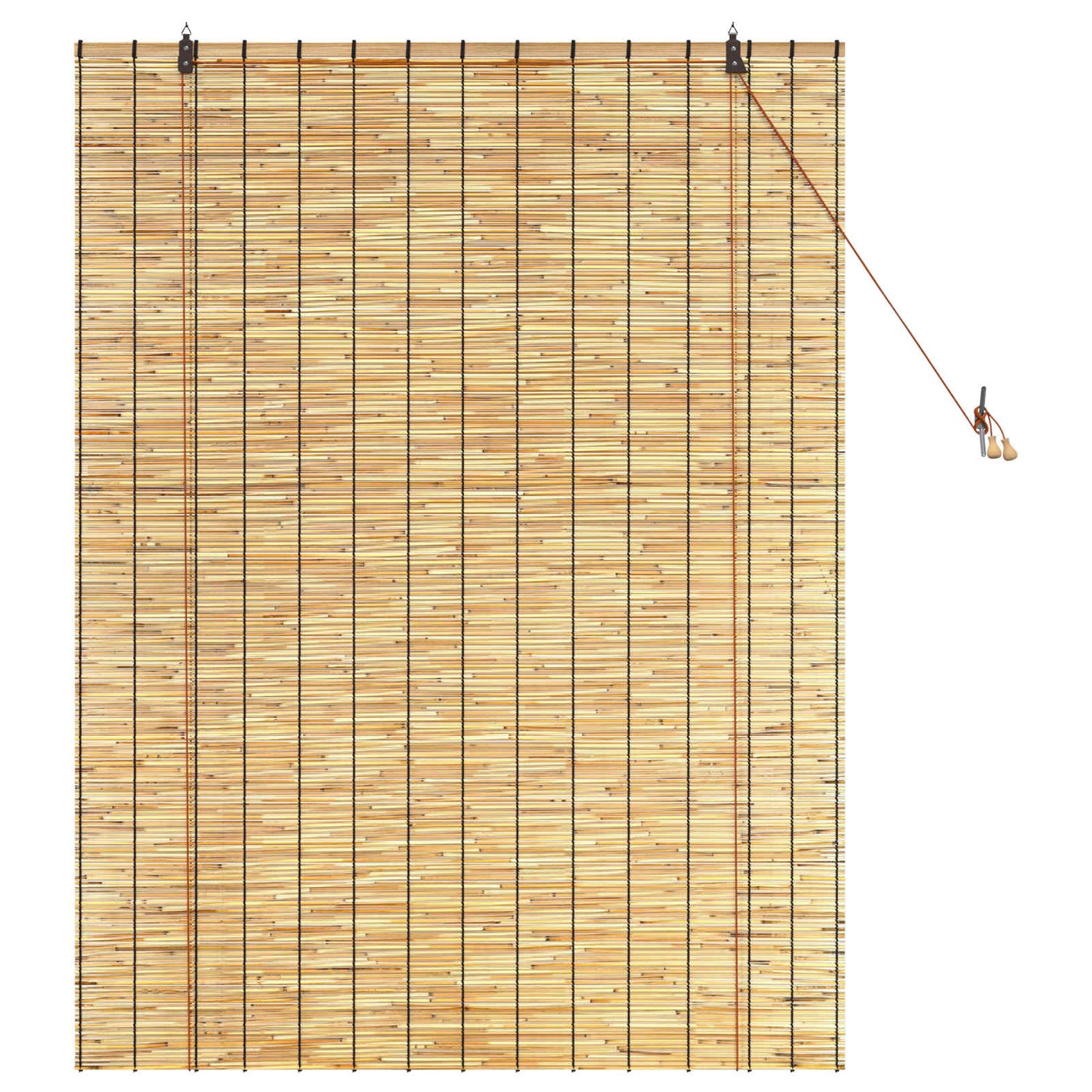 Roller Blind Natural 120 x 160 cm Reed