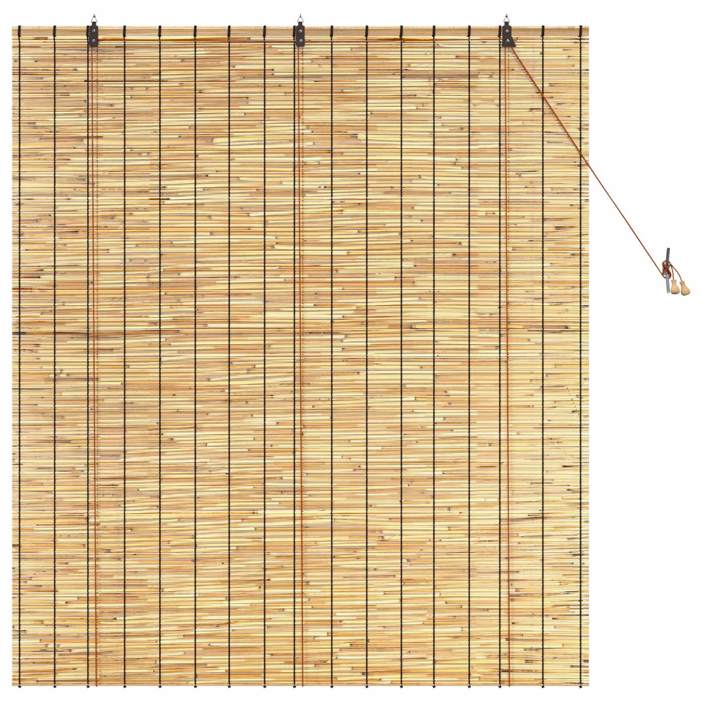 Roller Blind Natural 140 x 160 cm Reed