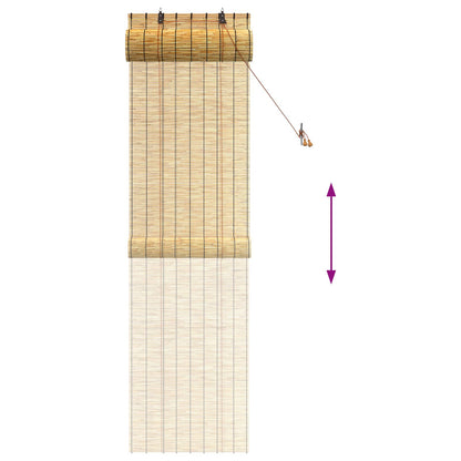 Roller Blind Natural 60 x 220 cm Reed