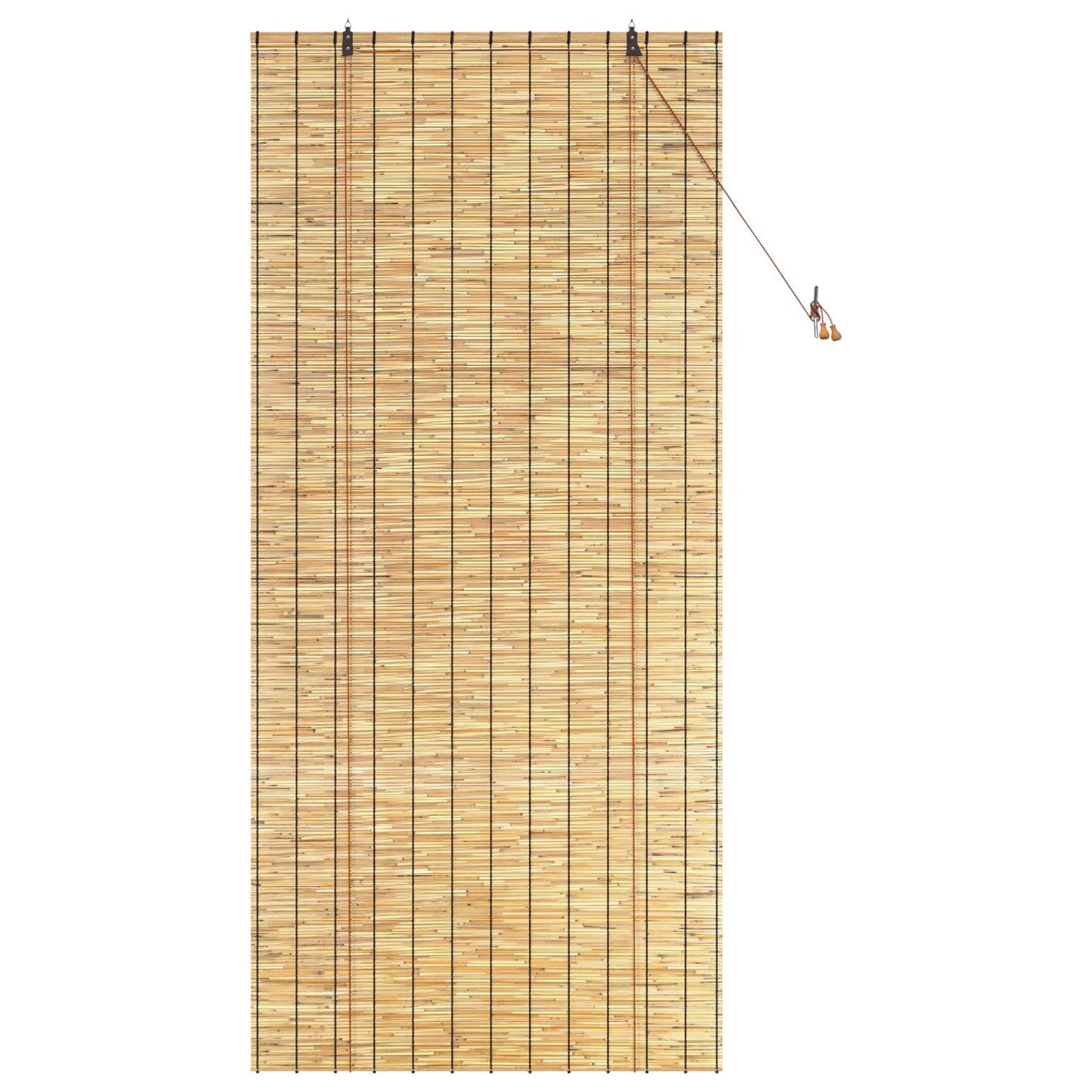 Roller Blind Natural 100 x 220 cm Reed