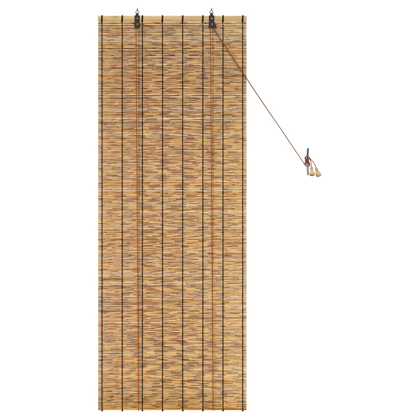 Roller Blind Brown 60 x 160 cm Reed