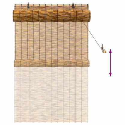 Roller Blind Brown 100 x 160 cm Reed