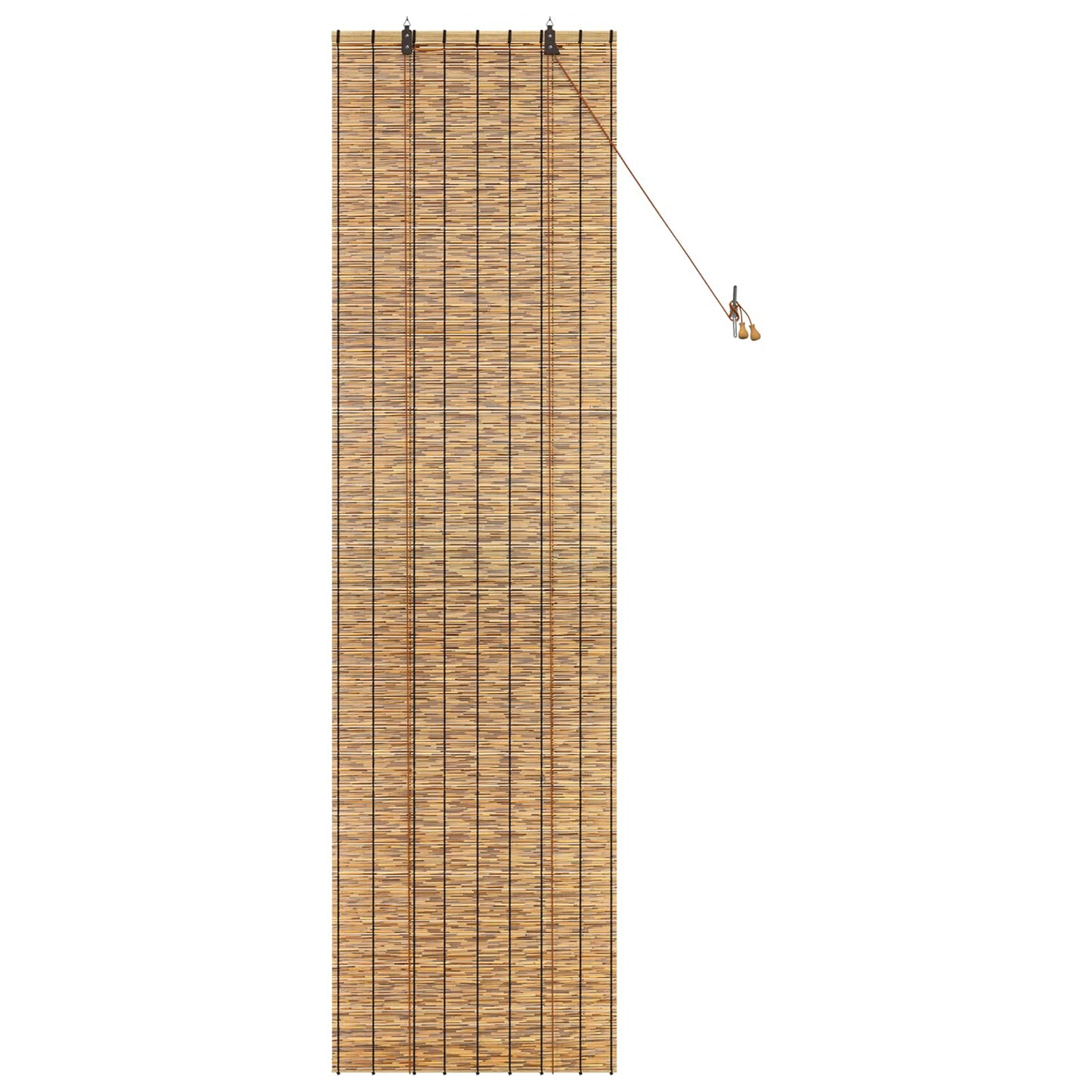 Roller Blind Brown 60 x 220 cm Reed