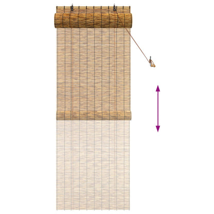 Roller Blind Brown 80 x 220 cm Reed