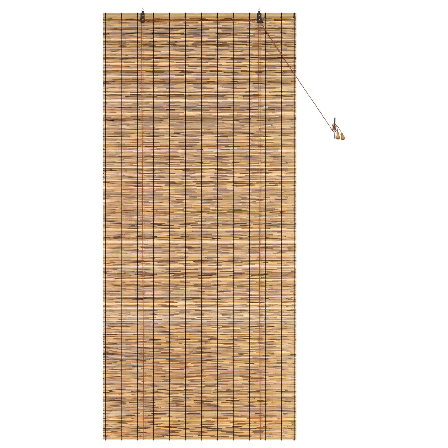 Roller Blind Brown 100 x 220 cm Reed