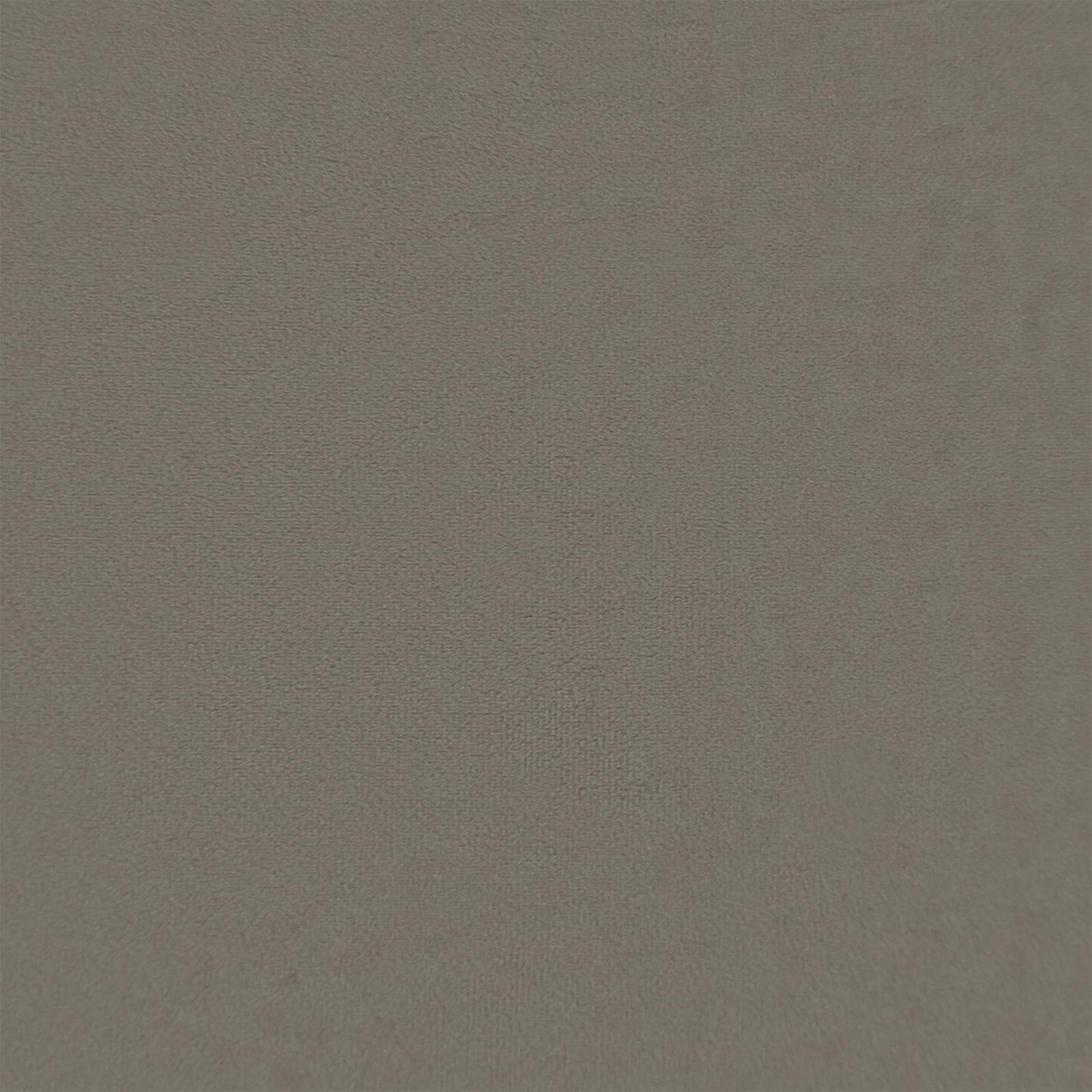 Cushion Cover 6 pcs HEERLEN Light Grey 65 x 65 cm Velvet