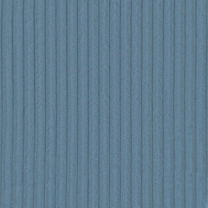 Cushion Cover 2 pcs HEERLEN Blue 80 x 80 cm Corduroy