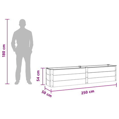 Garden Raised Bed Black 250 x 50 x 54 cm