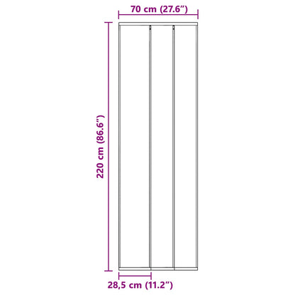 Insect Door Screen with Mesh Curtain Black 70 x 220 cm