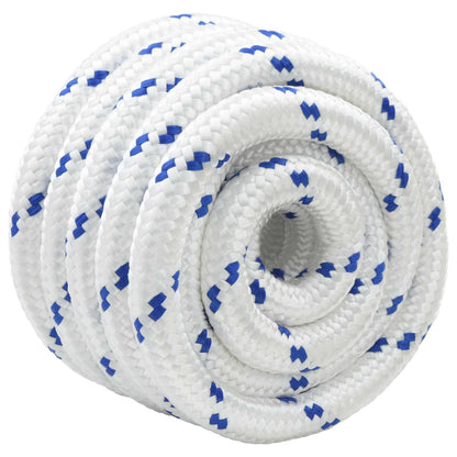 Boat Rope 5 m 4 White and Blue PP