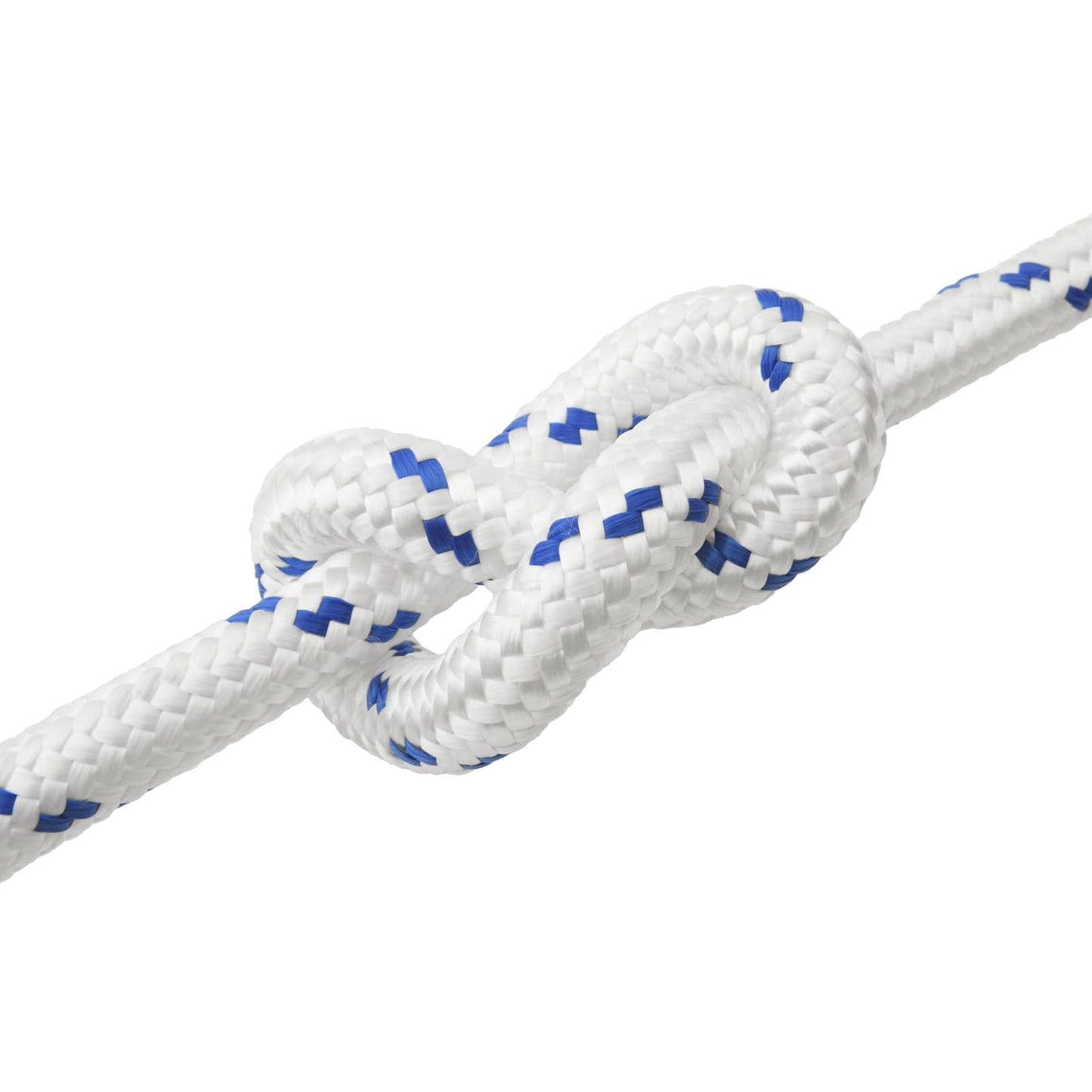 Boat Rope 10 m 5 White and Blue PP