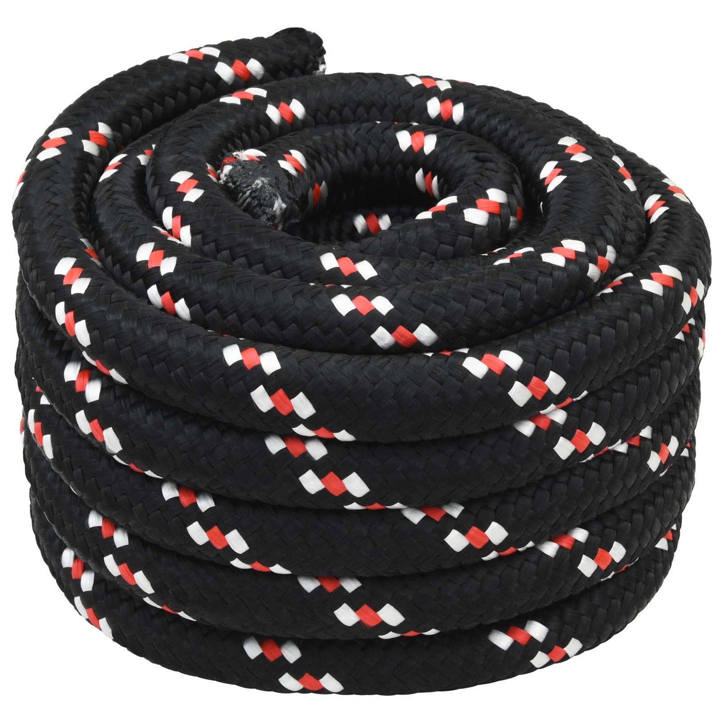 Boat Rope 10 m 3 Black and Red PP