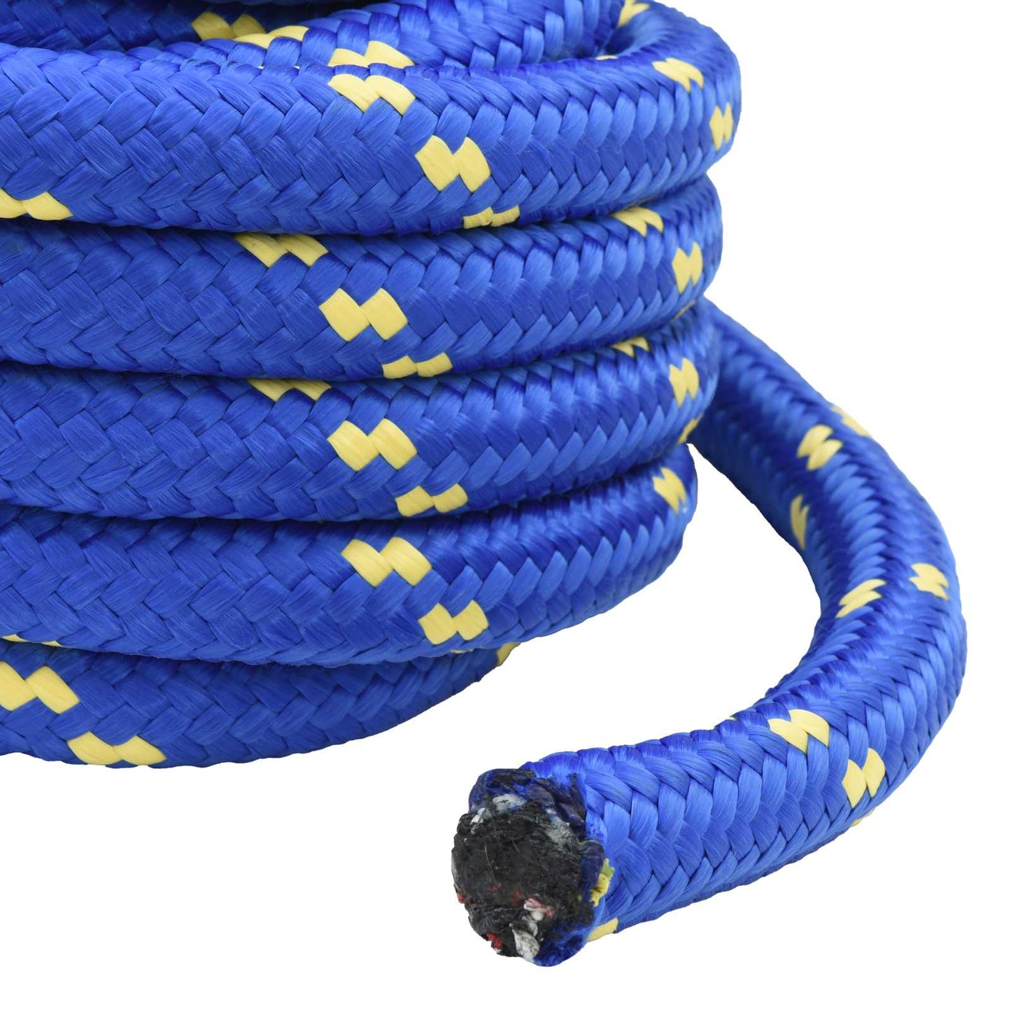 Boat Rope 5 m 4 Blue PP