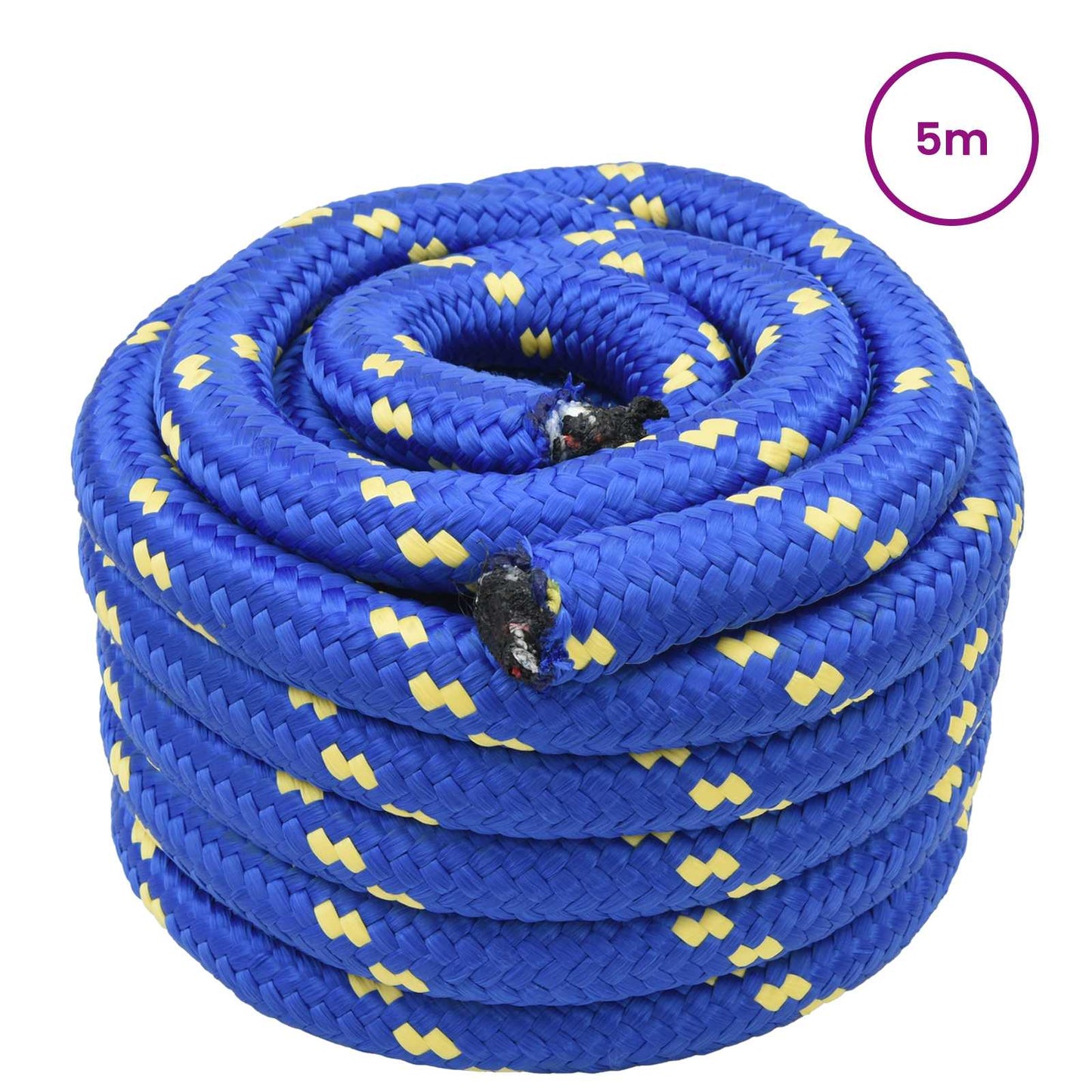 Boat Rope 5 m 5 Blue PP