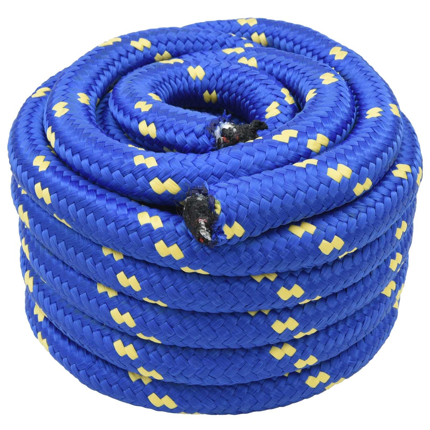 Boat Rope 5 m 6 Blue PP