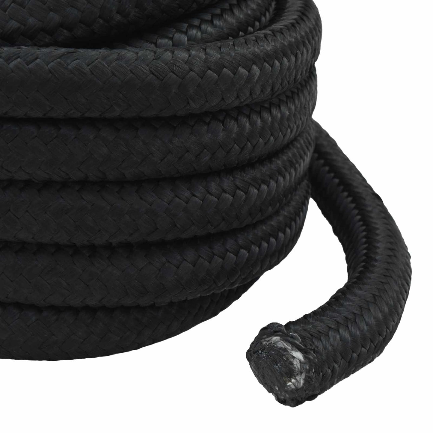 Boat Rope 10 m 4 Black PP