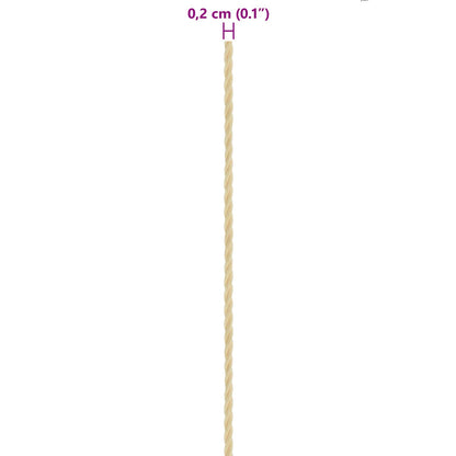 Boat Rope 100 m 0.2 Natural PP