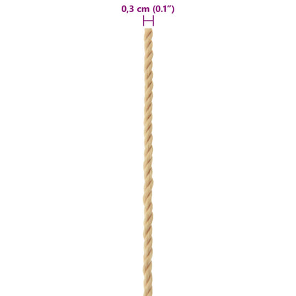 Boat Rope 25 m 0.3 Natural PP