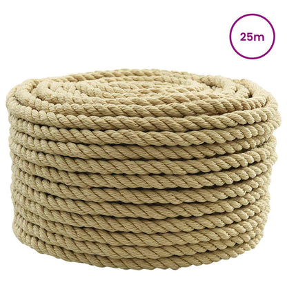 Boat Rope 25 m 1 Natural PP