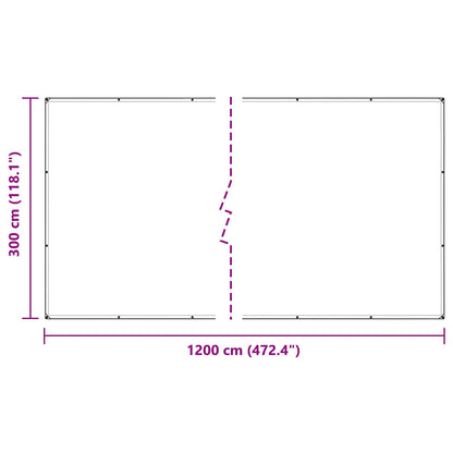 Plant Cover Transparent 3 x 12 m PE