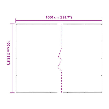 Plant Cover Transparent 4 x 10 m PE