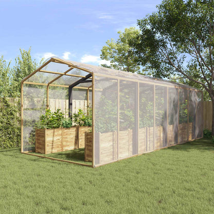 Plant Cover Transparent 6 x 10 m PE