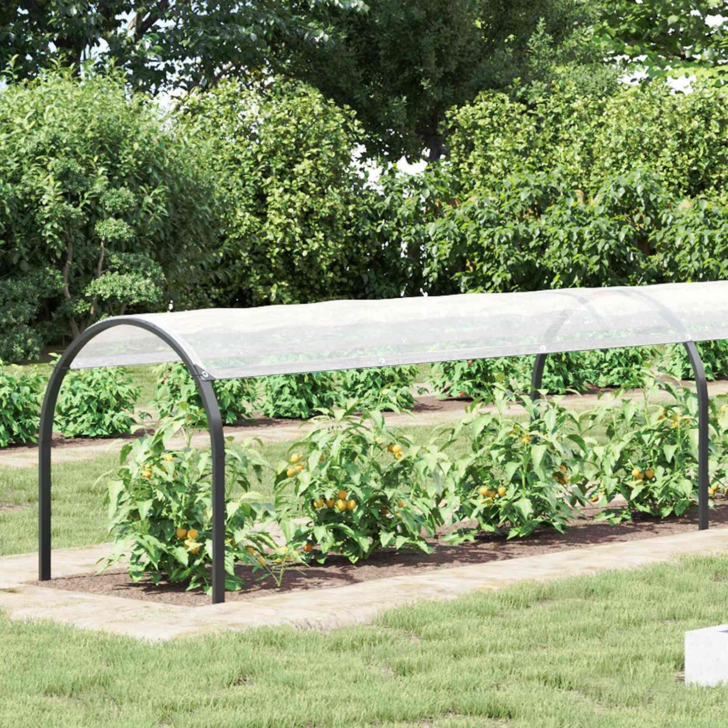 Plant Cover Transparent 20 x 1.5 m PE