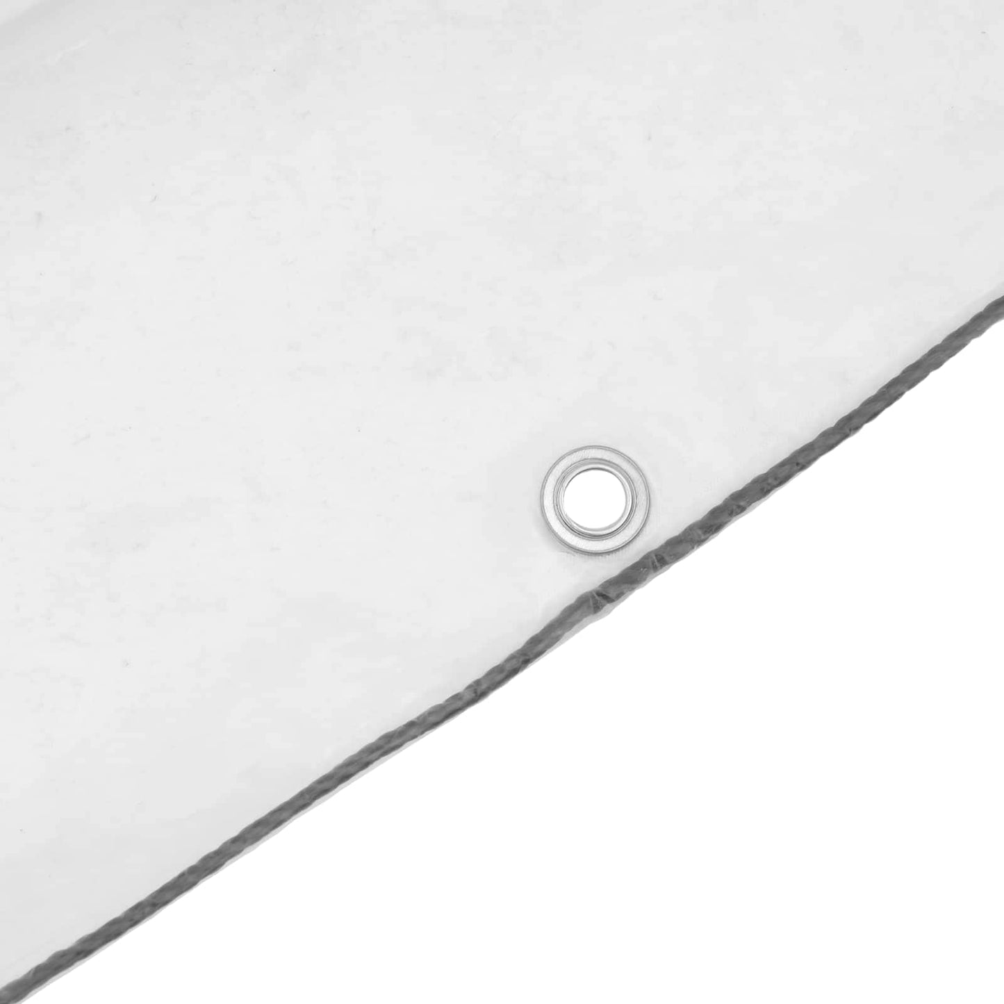 Tarpaulin with Eyelets Transparent 2 x 1.5 m Polyethylene