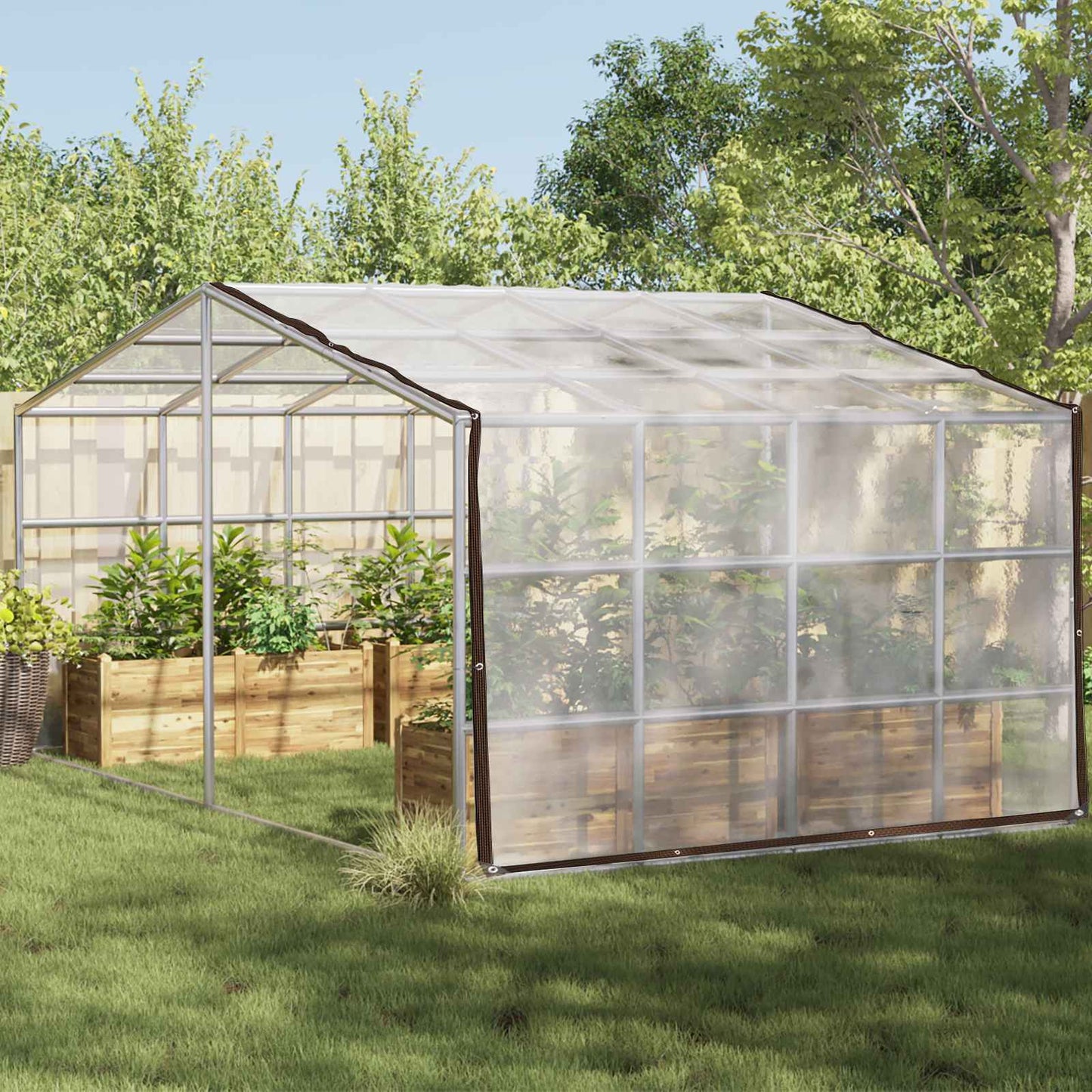 Plant Cover Transparent 5 x 6 m PE