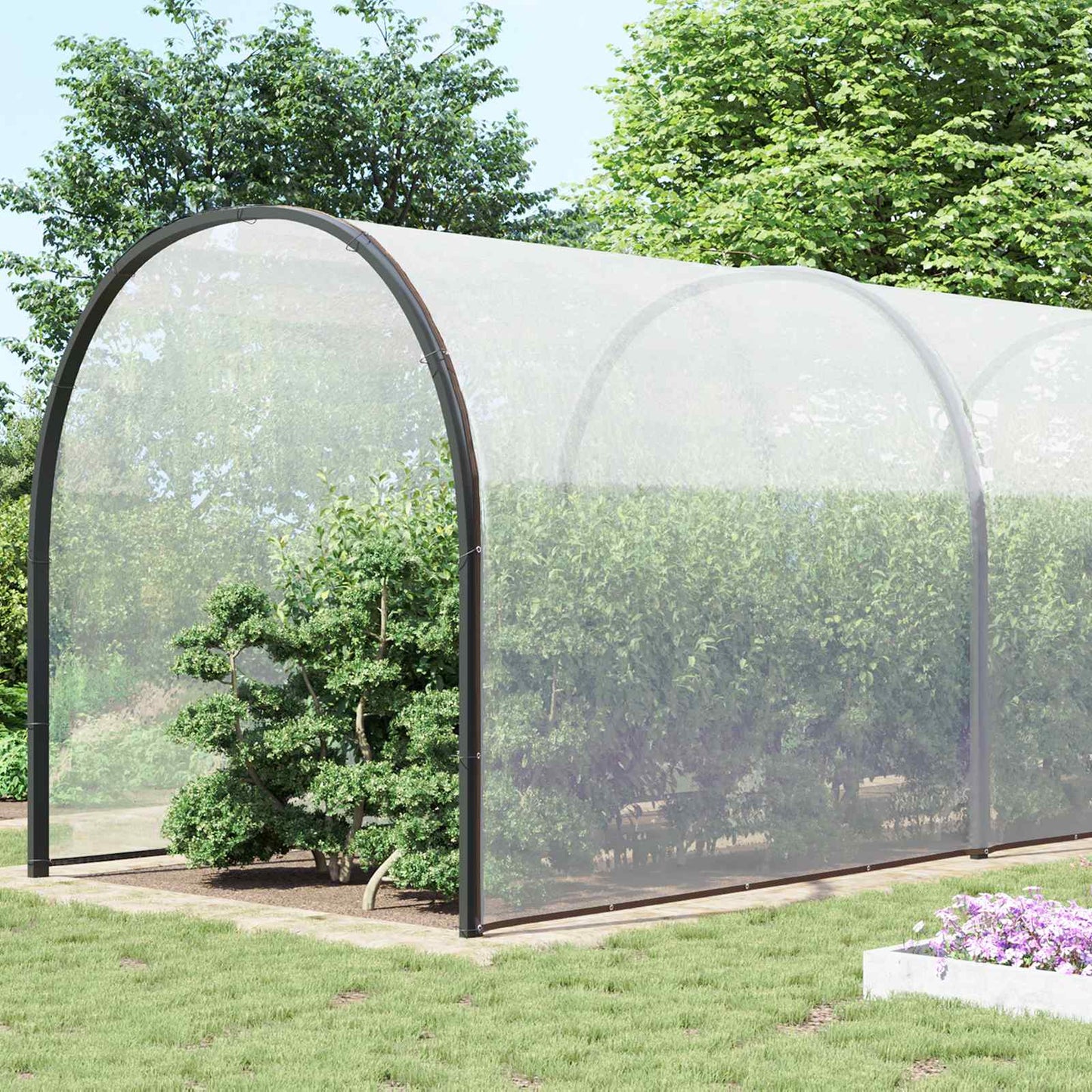 Plant Cover Transparent 8 x 12 m PE