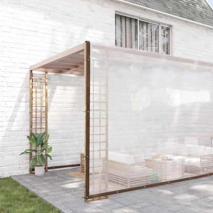 Plant Cover Transparent 10 x 10 m PE