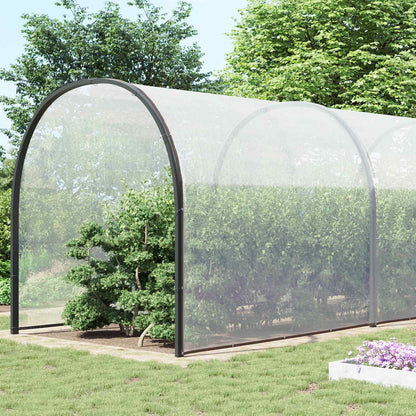 Plant Cover Transparent 10 x 10 m PE