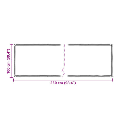 Plant Cover Transparent 2.5 x 1 m PE