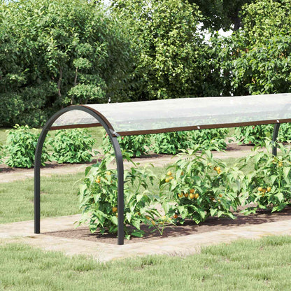 Plant Cover Transparent 6 x 1.5 m PE