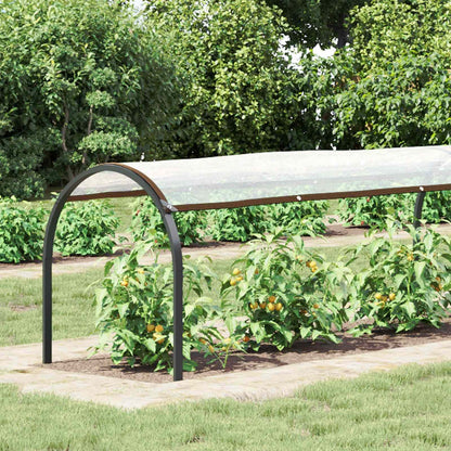 Plant Cover Transparent 20 x 1.5 m PE